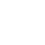 Dental Crown and Bridge